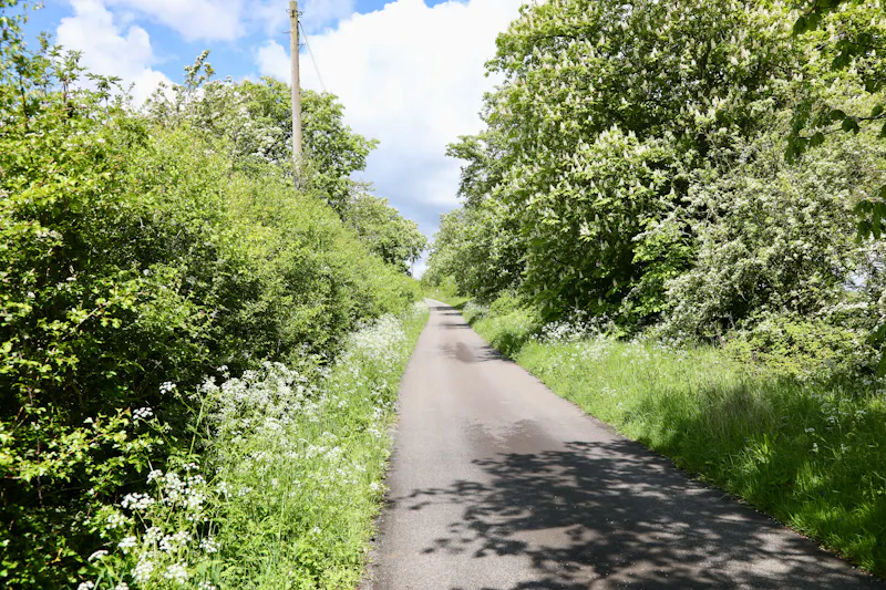 Claywell gardens in Oxfordshire, L724 (photo 53)