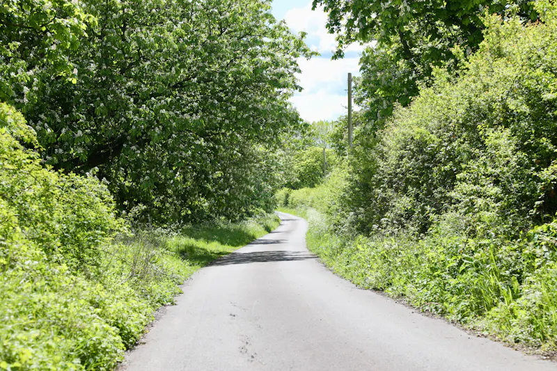 Claywell gardens in Oxfordshire, L724 (photo 51)