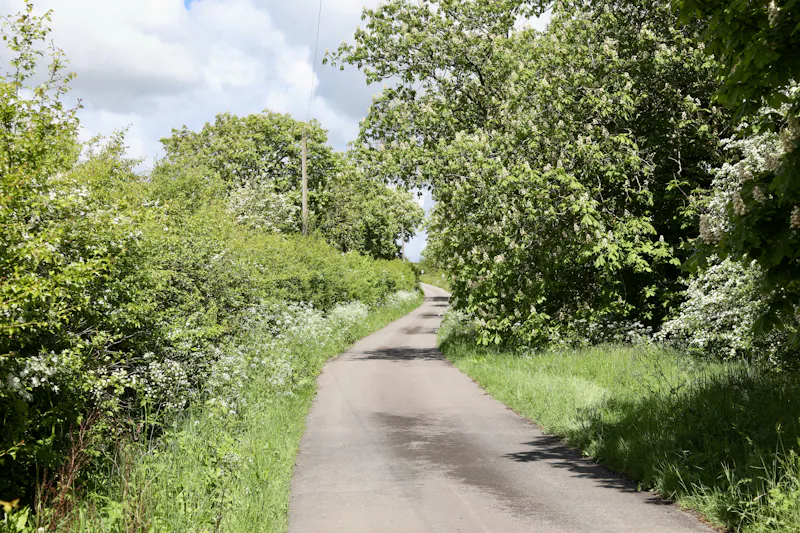 Claywell gardens in Oxfordshire, L724 (photo 52)