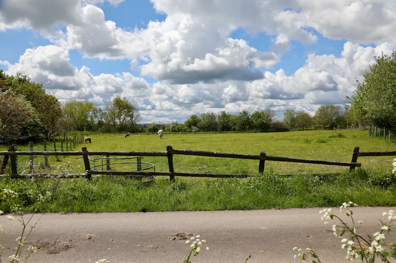 Claywell gardens in Oxfordshire, L724 (photo 47)