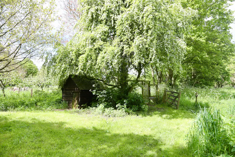 Claywell gardens in Oxfordshire, L724 (photo 60)