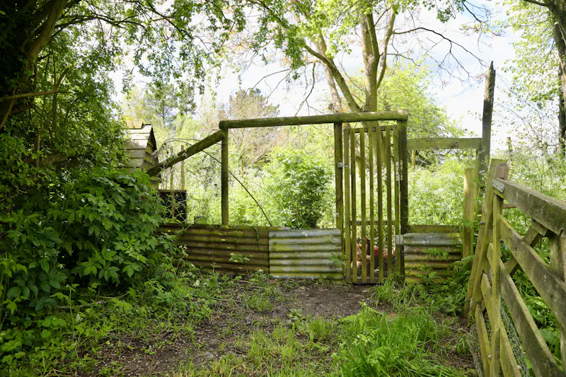 Claywell gardens in Oxfordshire, L724 (photo 59)