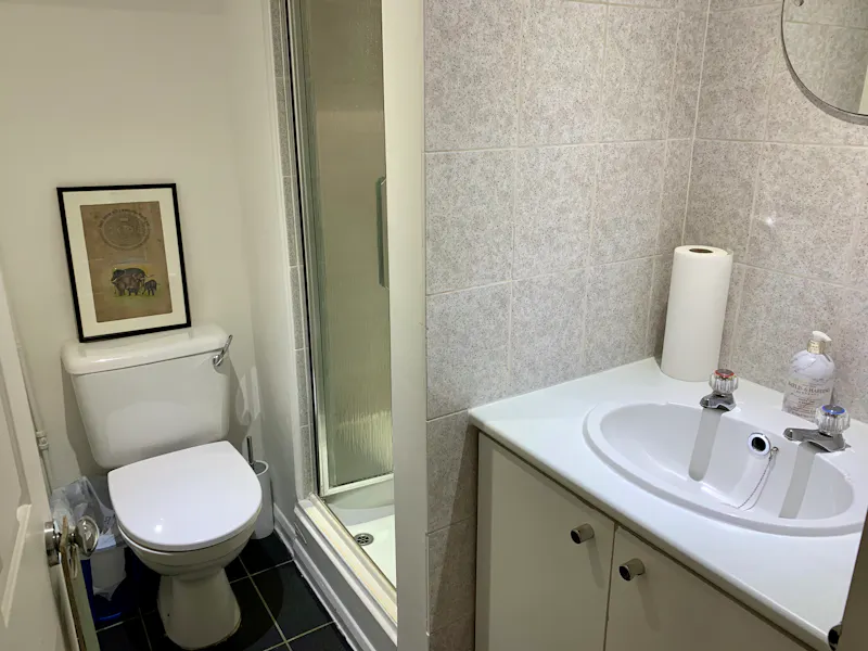 Bathroom at Large Victorian house Chiswick, B1919 (photo 60)