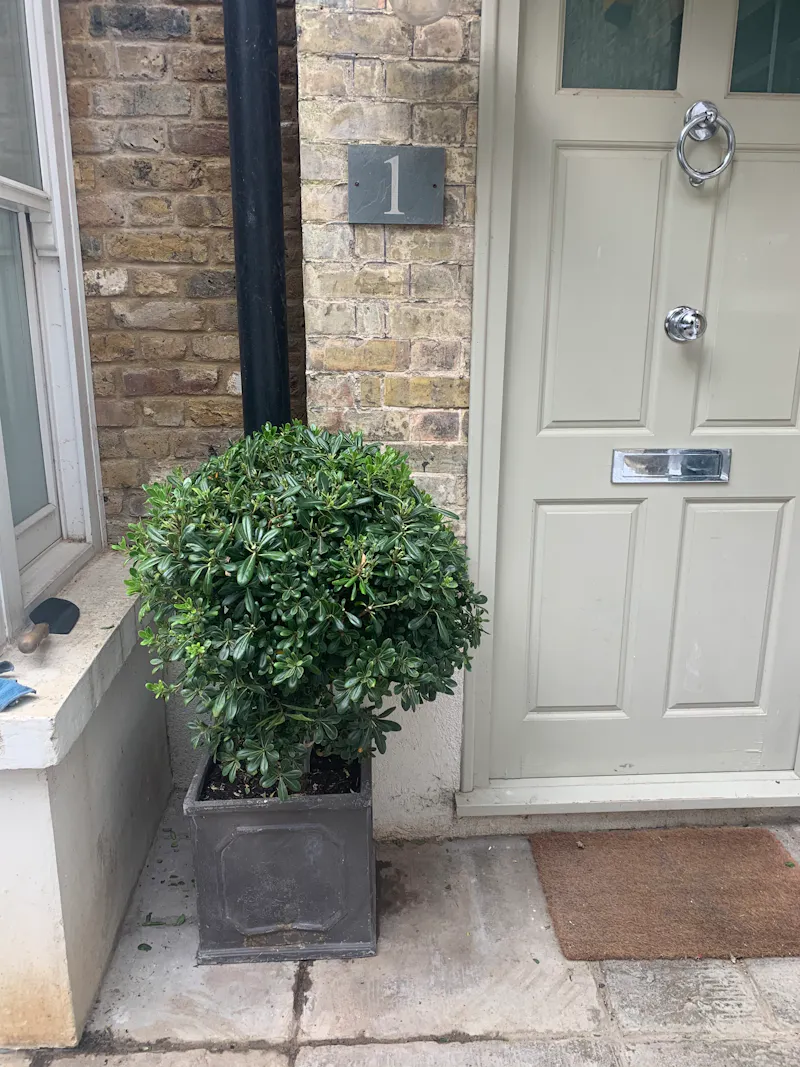 Basement flat Twickenham , B1942 (photo 22)