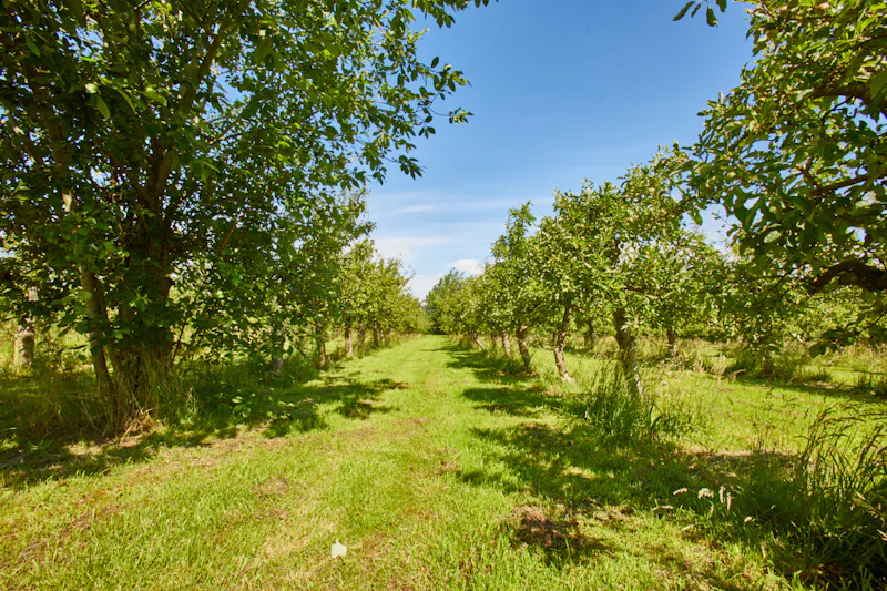Views - country at Stunning barn conversion Kent , D2552 (photo 27)