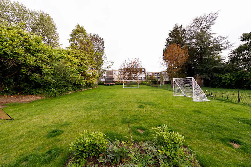 Garden at Modern house in Stanmore, D2543 (photo 35)