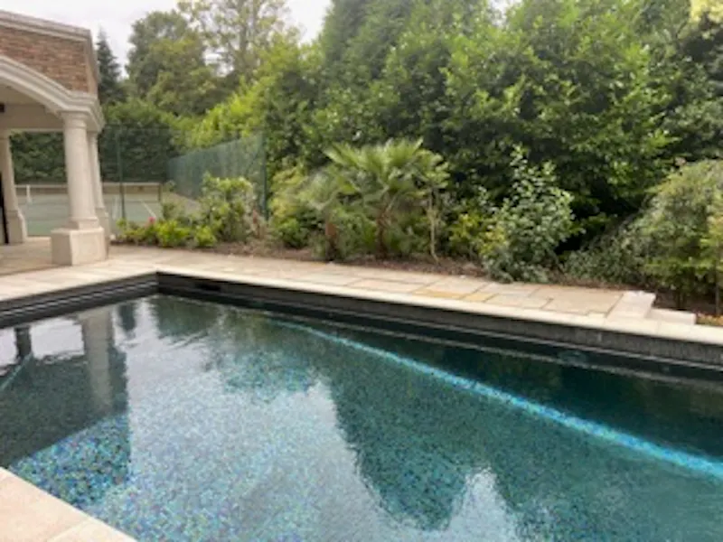 Luxury Weybridge mansion, D2443 (photo 41)