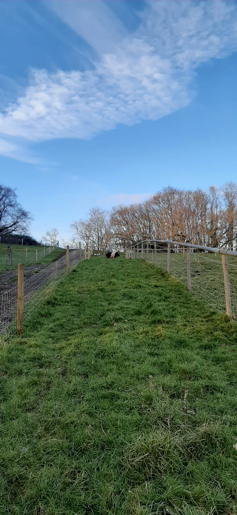 Farm / campsite near Salisbury, L728 (photo 4)