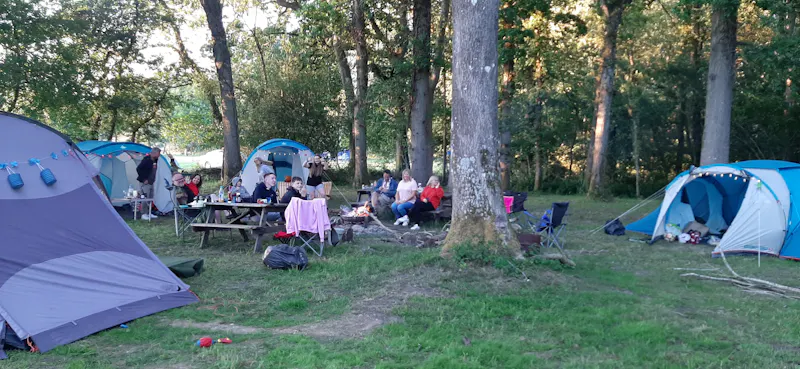 Farm / campsite near Salisbury, L728 (photo 8)