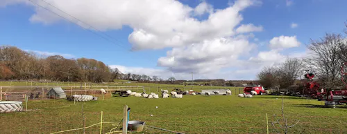 Farm / campsite near Salisbury, L728