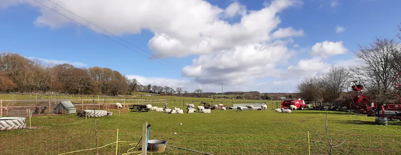Countryside at Farm / campsite near Salisbury, L728 (photo 2)