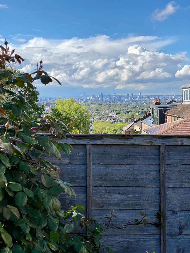 Views - city at 1920's renovation Forest Hill, D2557 (photo 21)