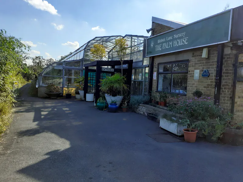 Cafe & Woodland in Tottenham , R855 (photo 1)