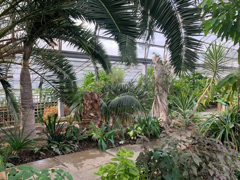 Greenhouse at Cafe & Woodland in Tottenham , R855 (photo 12)