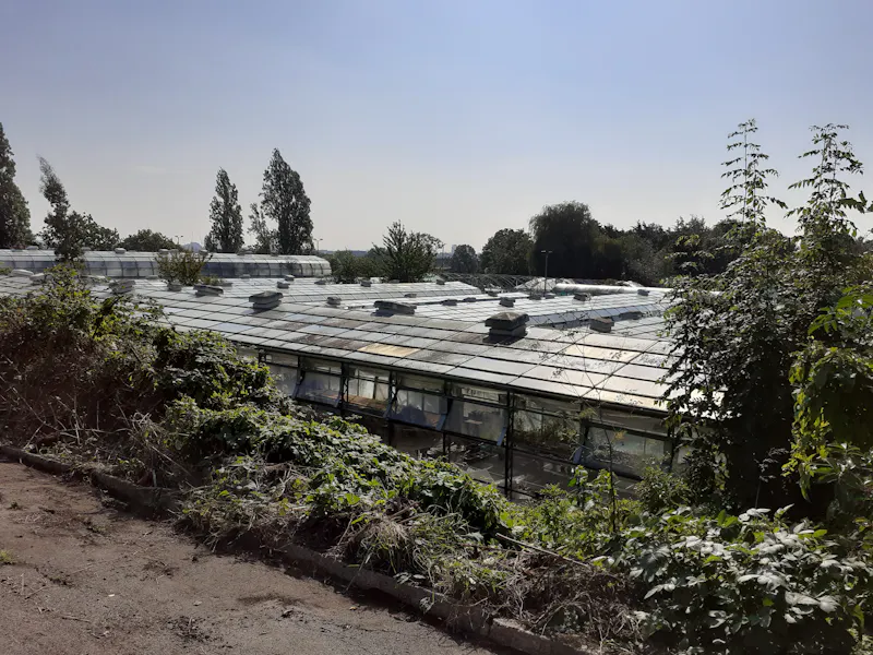 Greenhouse at Cafe & Woodland in Tottenham , R855 (photo 17)