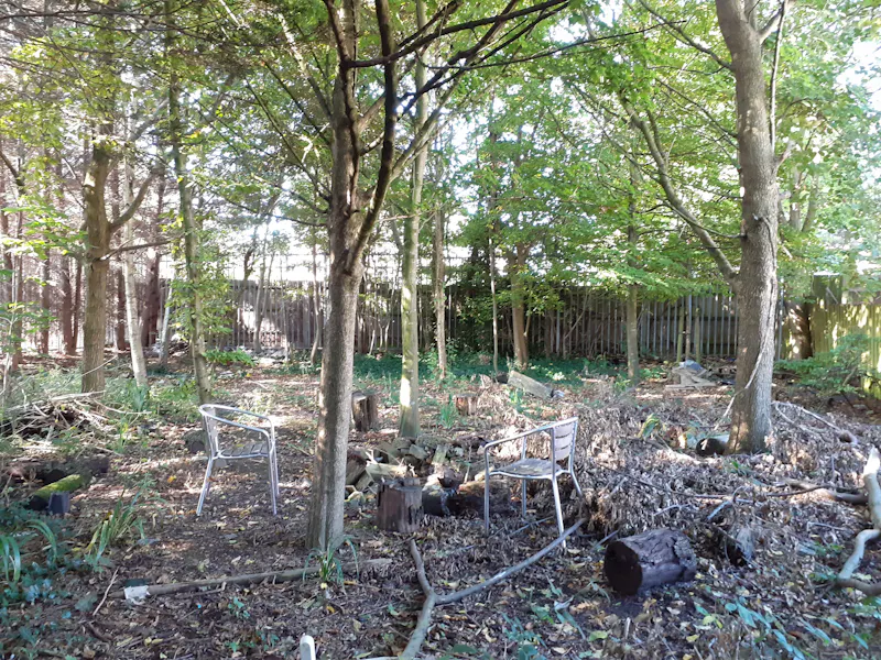 Woodland at Cafe & Woodland in Tottenham , R855 (photo 18)