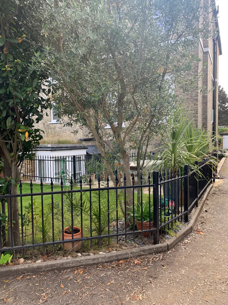 Basement flat Twickenham , B1942 (photo 23)