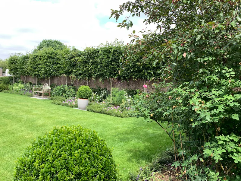 Garden at Modern house near Bedford, D2581 (photo 70)