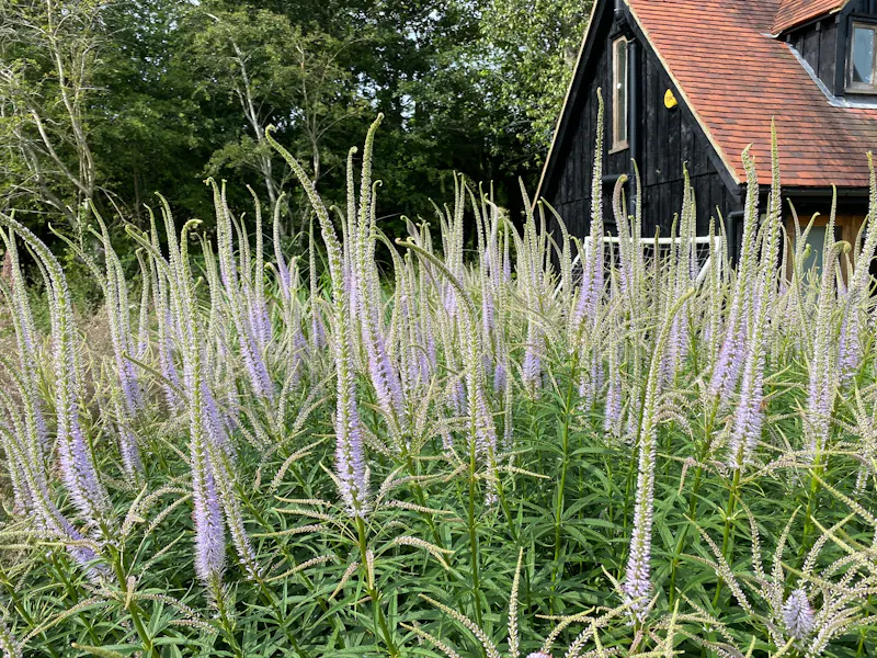 Luxe barn conversion in Dorking, L731 (photo 66)