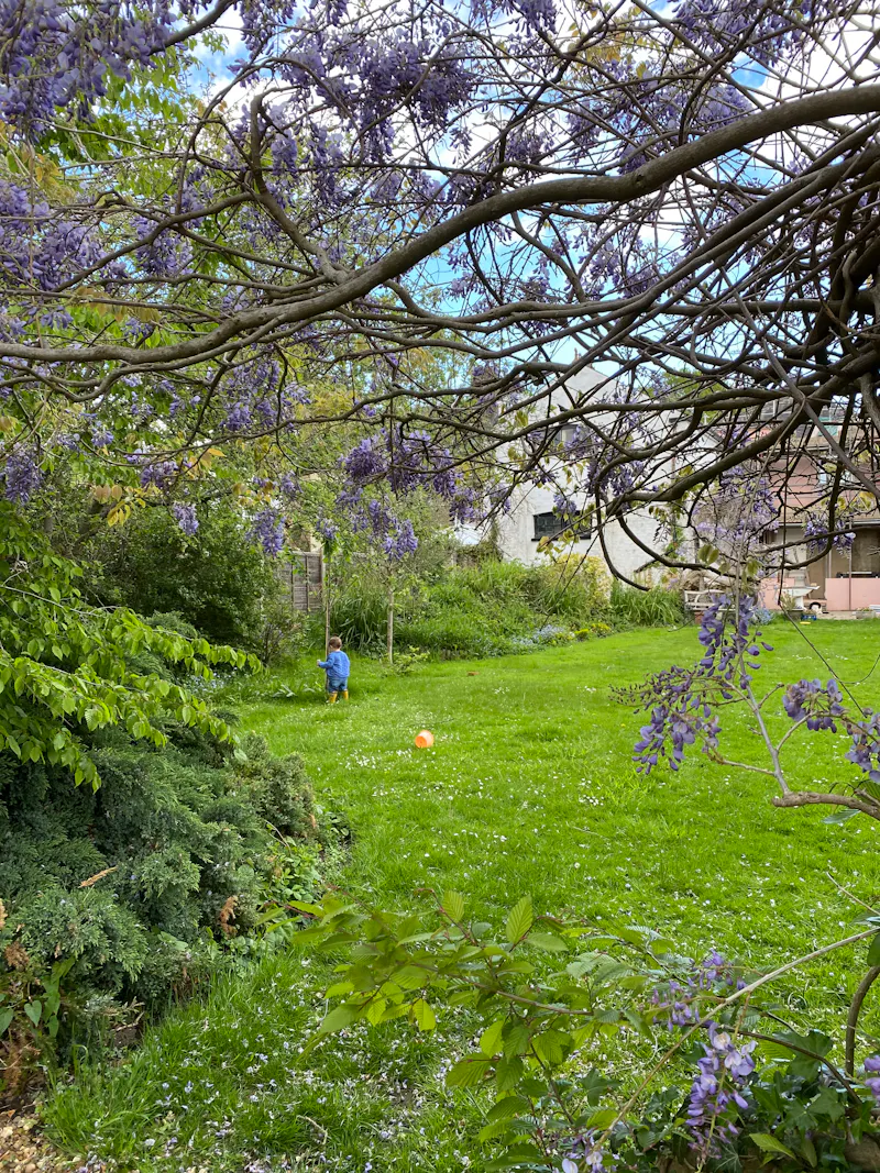 Garden at Georgian pink house Chingford, A1560 (photo 53)
