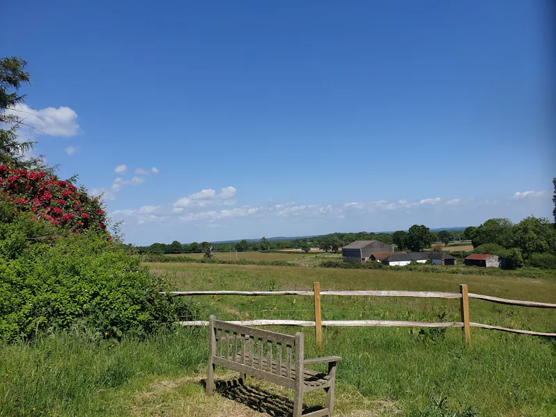 Countryside at West Chiltington manor, E514 (photo 48)