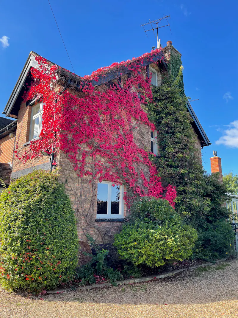 Victorian semi in Brickendon, B1958 (photo 28)