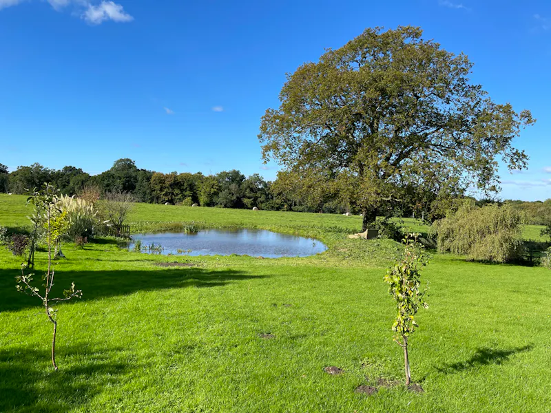 Pond at Victorian semi in Brickendon, B1958 (photo 33)