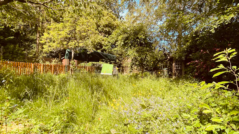 Woodland at Old Family Farm House, L740 (photo 30)