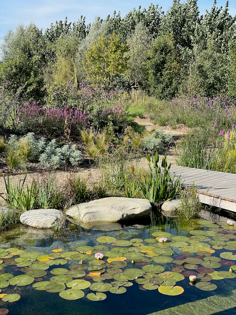 Pond at Futuristic eco house Chichester, D2584 (photo 42)