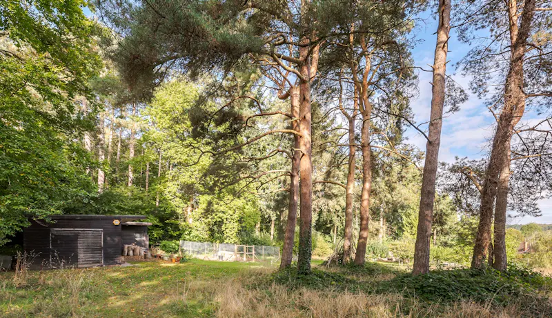 Large house in Great Missenden, D2589 (photo 40)