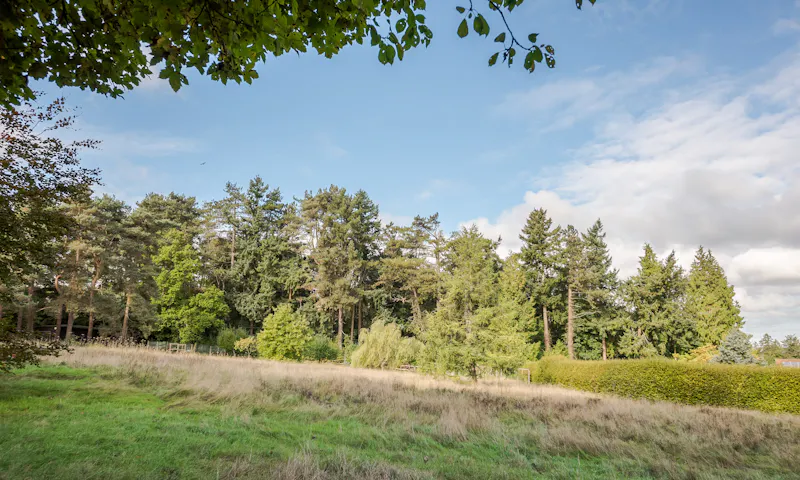 Countryside at Large house in Great Missenden, D2589 (photo 38)