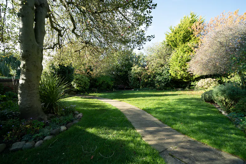 Garden at Georgian cottage in Streatham, A1563 (photo 25)
