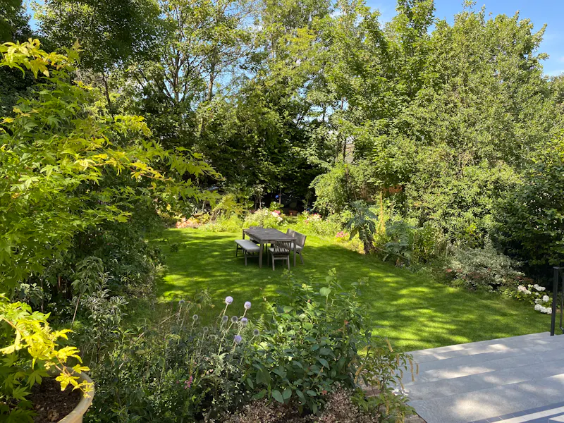Garden at Stripped back Penge house, B1775 (photo 60)
