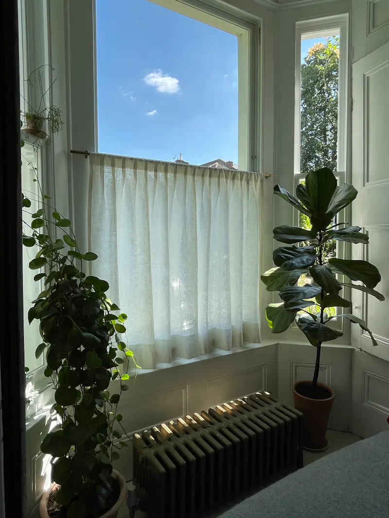 Stripped back Penge house, B1775 (photo 8)