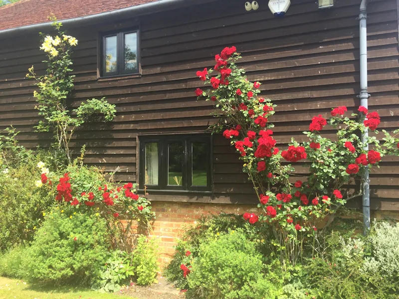 Contemporary Pirbright barn, L551 (photo 19)