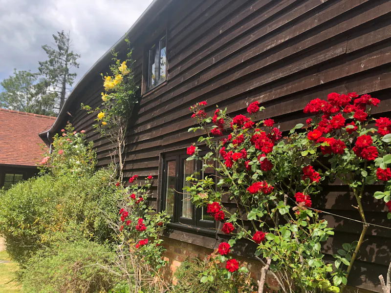 Contemporary Pirbright barn, L551 (photo 20)