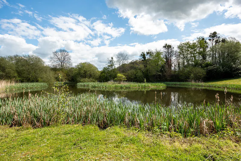 1500's estate near Bristol, M351 (photo 10)