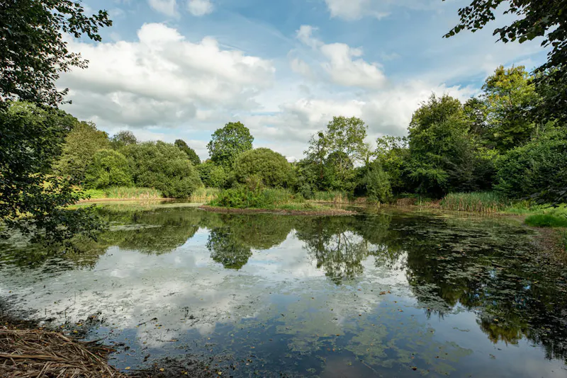 1500's estate near Bristol, M351 (photo 12)