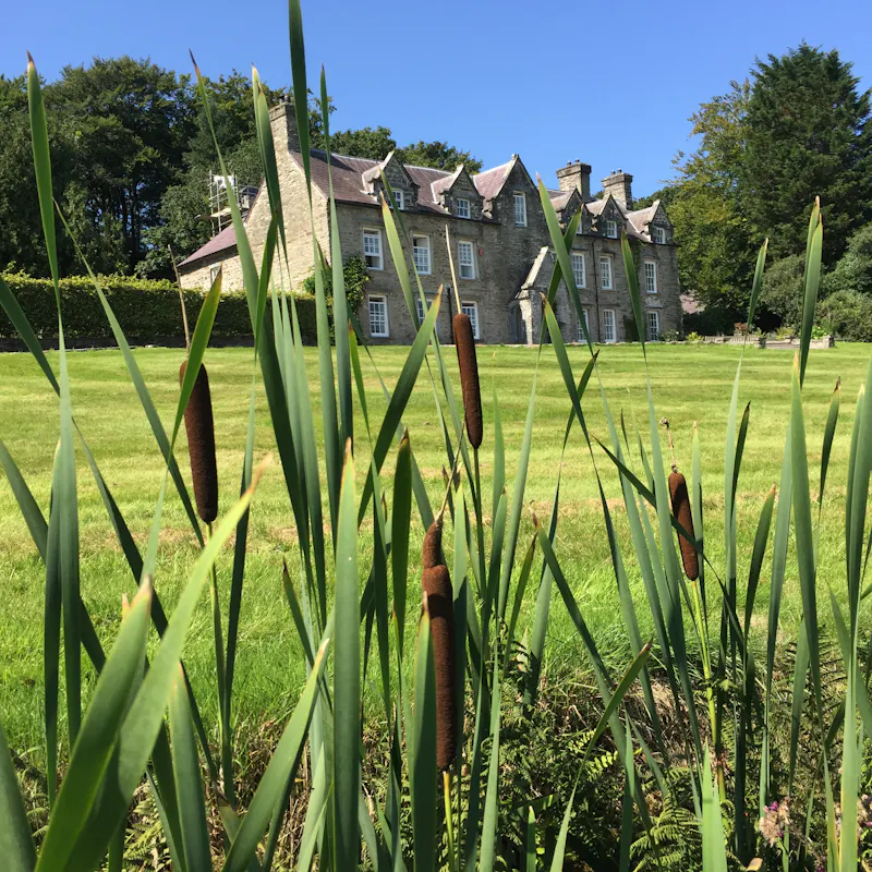 Garden at Georgian remodel in Cardigan, D2616 (photo 17)