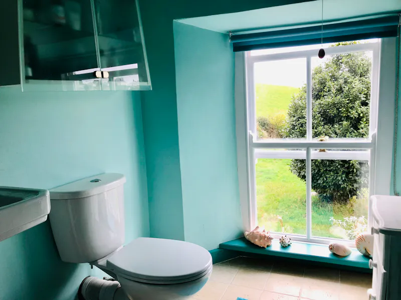 Bathroom at Farm house in Par, D2617 (photo 28)