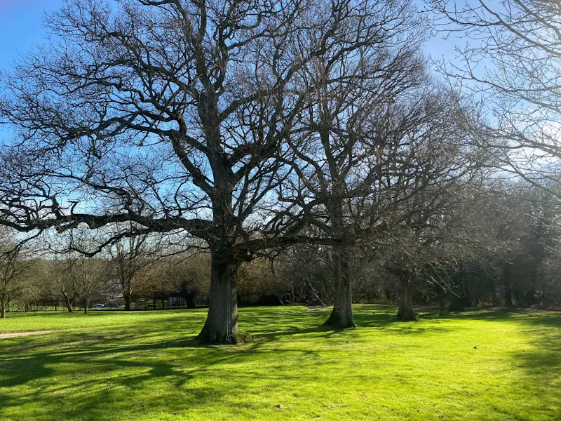 Views - country at Industrial Hawkhurst Barn, L744 (photo 18)