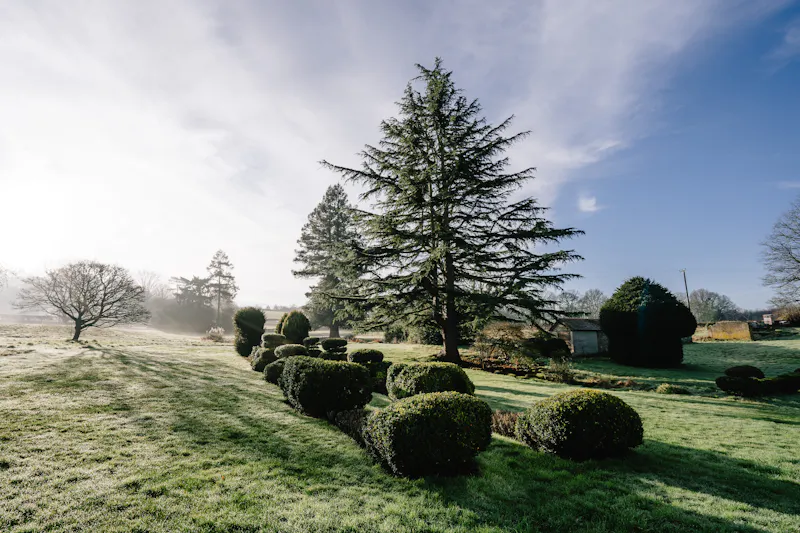 Garden at Ashurst country house and barns, A1239 (photo 32)
