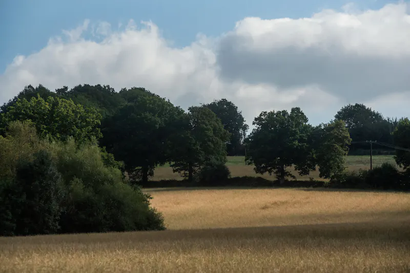 Ashurst country house and barns, A1239 (photo 50)