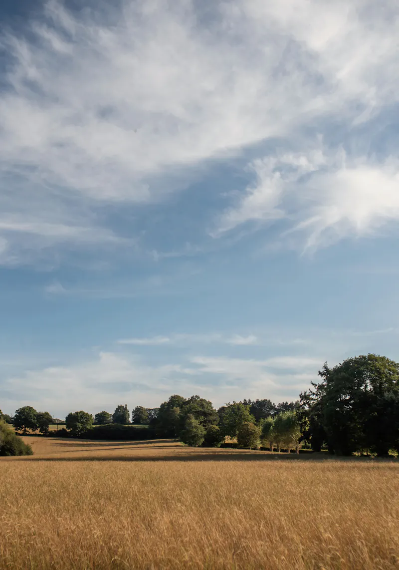 Ashurst country house and barns, A1239 (photo 46)