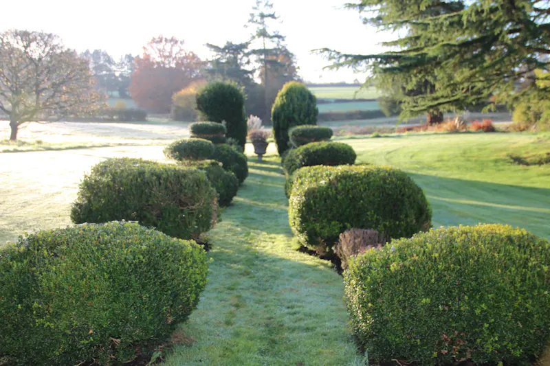 Garden - formal at Ashurst country house and barns, A1239 (photo 57)