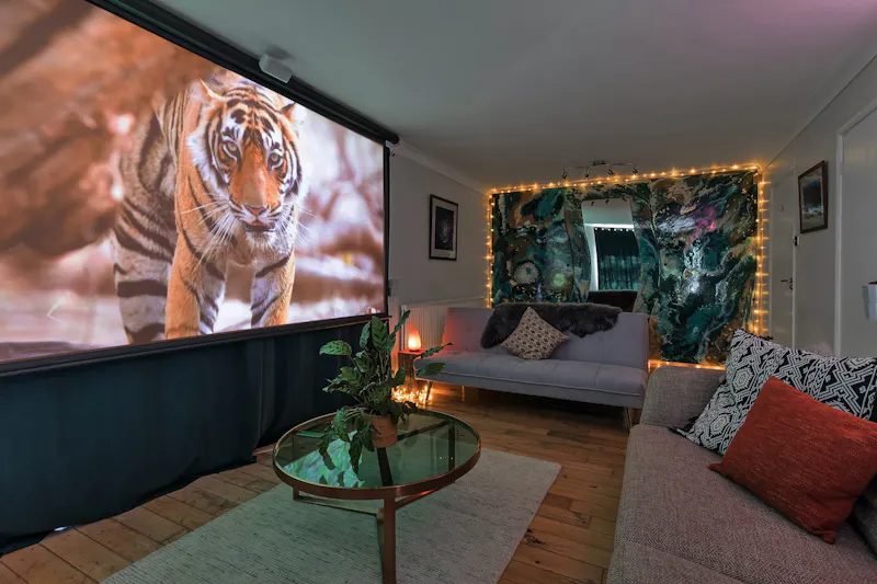 Home cinema at Southease Retreat, D2649 (photo 8)