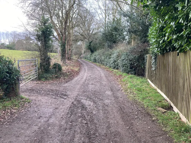 Woodland at Blakedown Farm, L737 (photo 33)