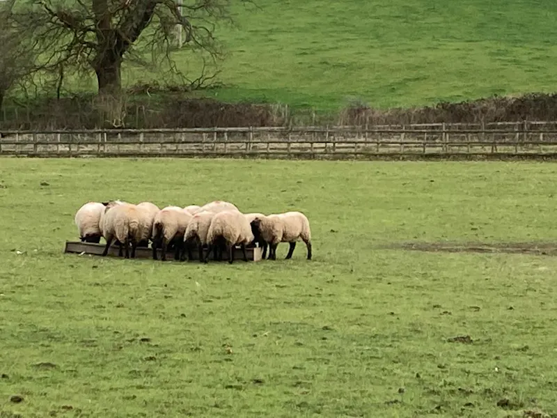 Blakedown Farm, L737 (photo 25)