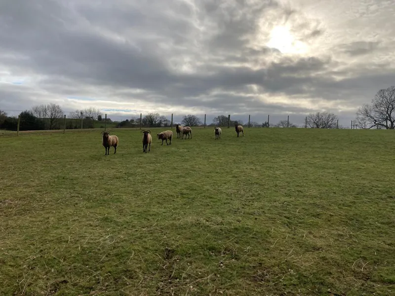 Countryside at Blakedown Farm, L737 (photo 26)