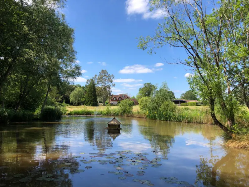 Lake at Stunning farmhouse Chiddingfold, D2615 (photo 14)